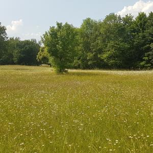 Poppen Paderborn Poppen Paderborn